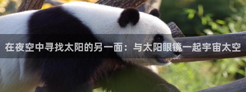 辉达娱乐加q75775稳定