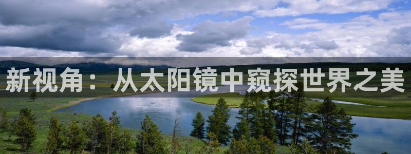 辉达娱乐分红