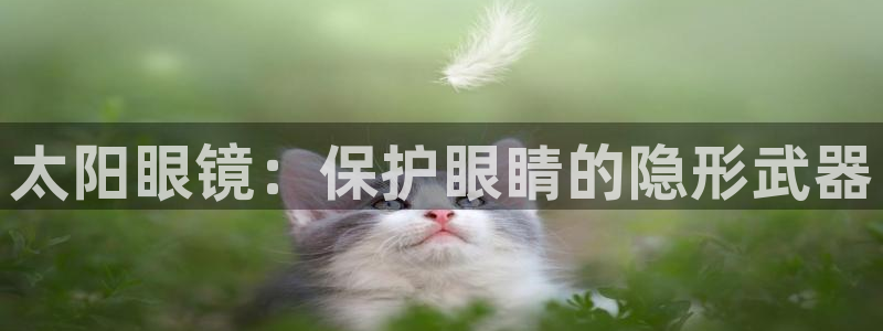 辉达娱乐福彩