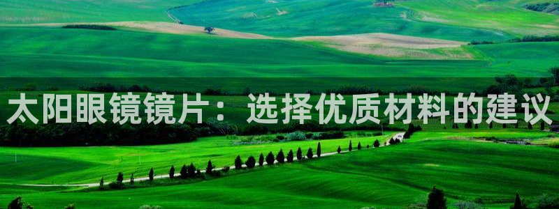 辉达娱乐公司