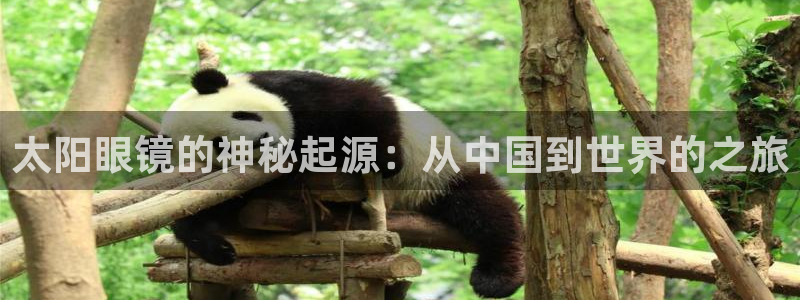 辉达娱乐电子